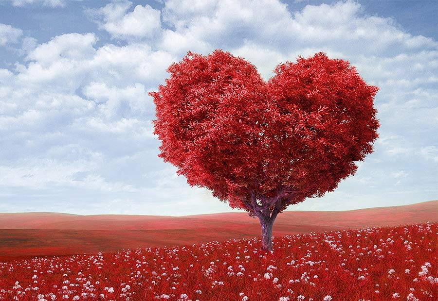 blog-heart-img01