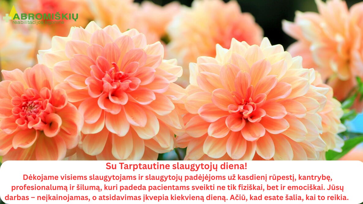 Sveikinimas Tarptautinės slaugytojų dienos proga!